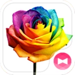 Logo of Rainbow Rose android Application 